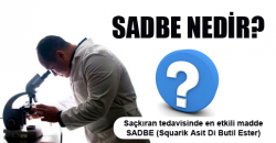 Saçkıran Sadbe